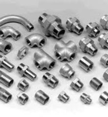 astm-316-forged-fittings-250×250
